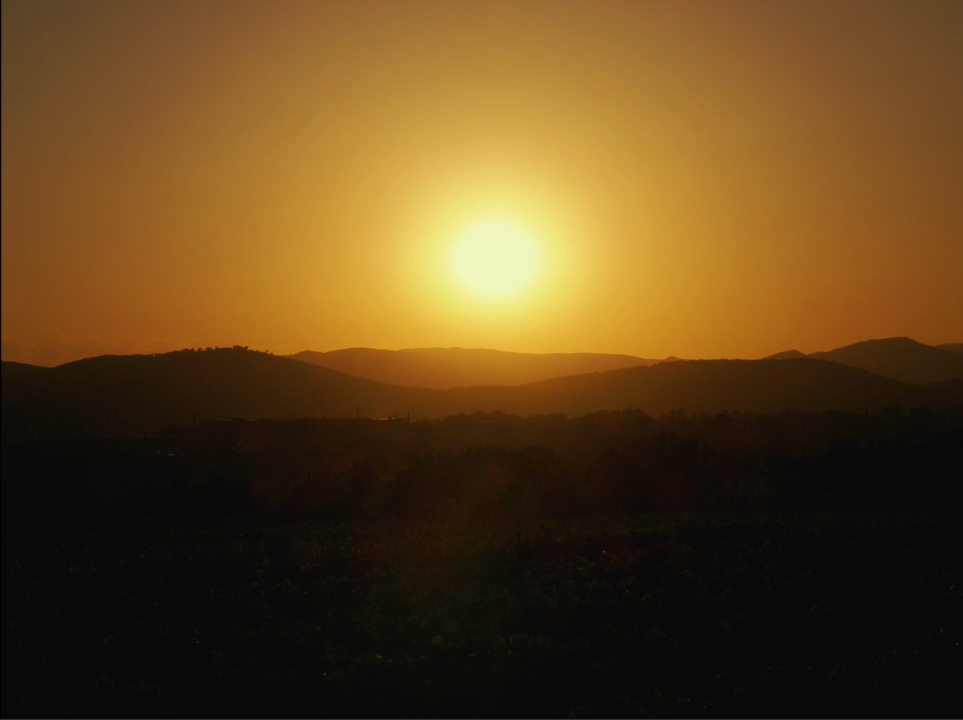 SUNTRACK